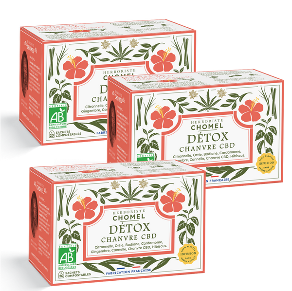 Infusion Détox 60 infusettes + livraison offerte